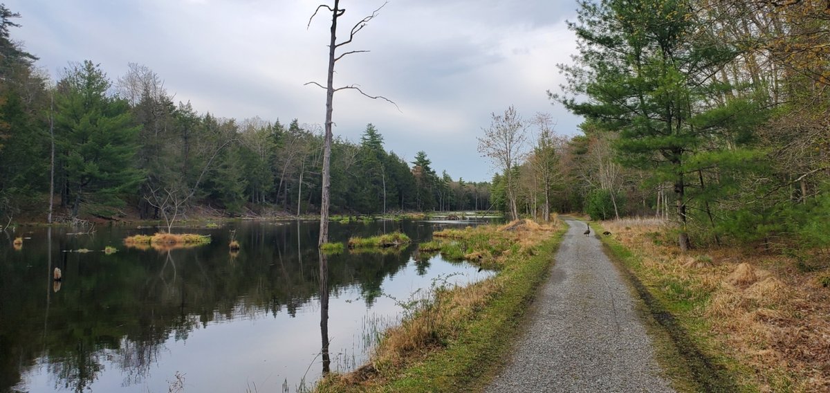Berme Road Corridor, NY - Biking the O&W Rail Trail - Gotham Bicycle Tours
