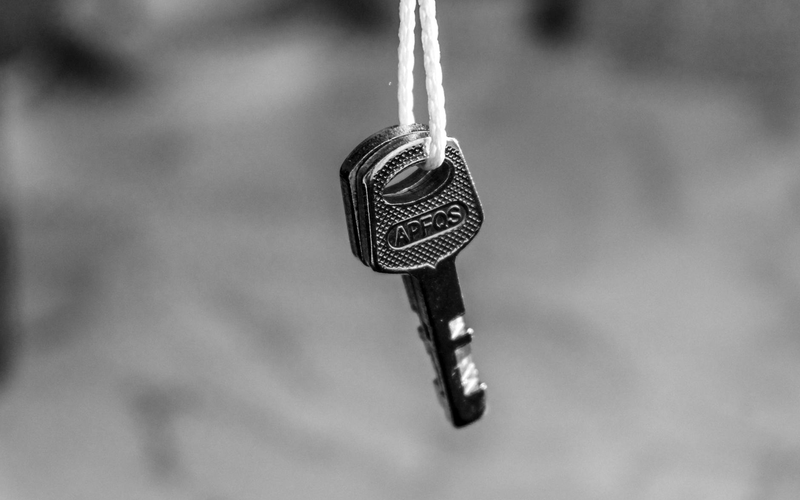 Professional service image 2